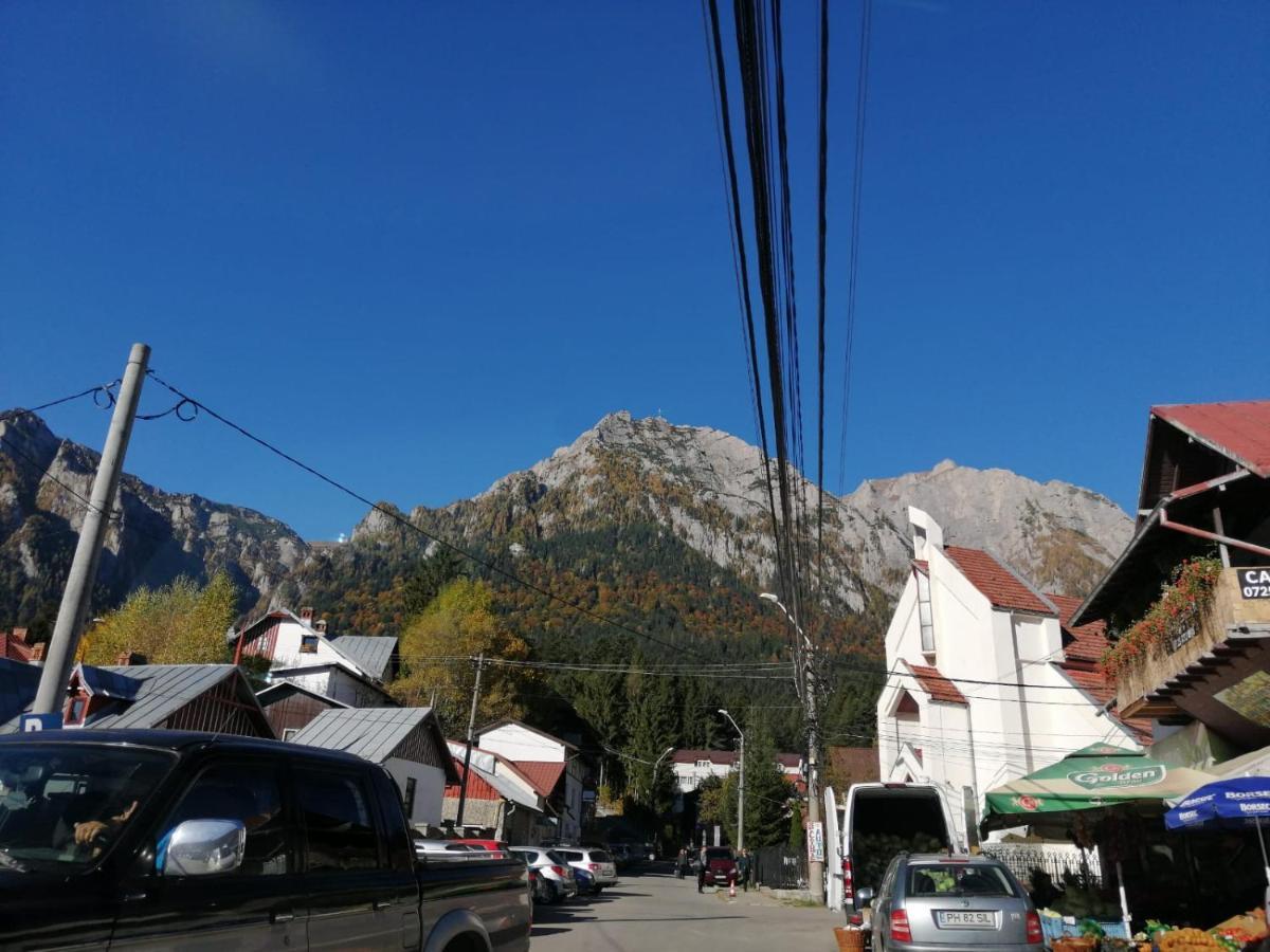 Hostel Cppi Nord Buşteni Exterior foto