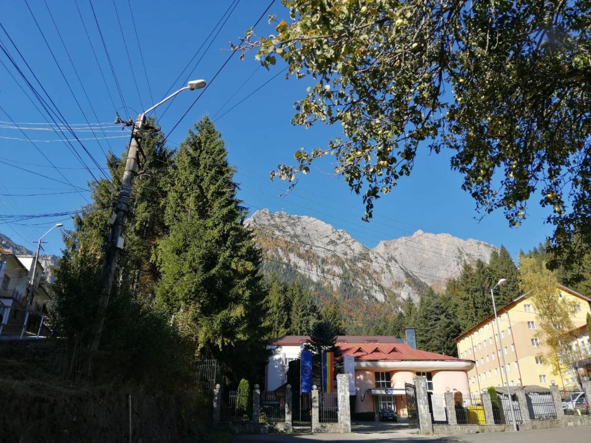 Hostel Cppi Nord Buşteni Exterior foto